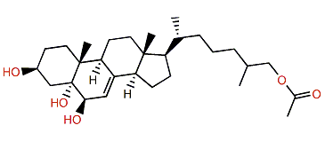 Carijoid B